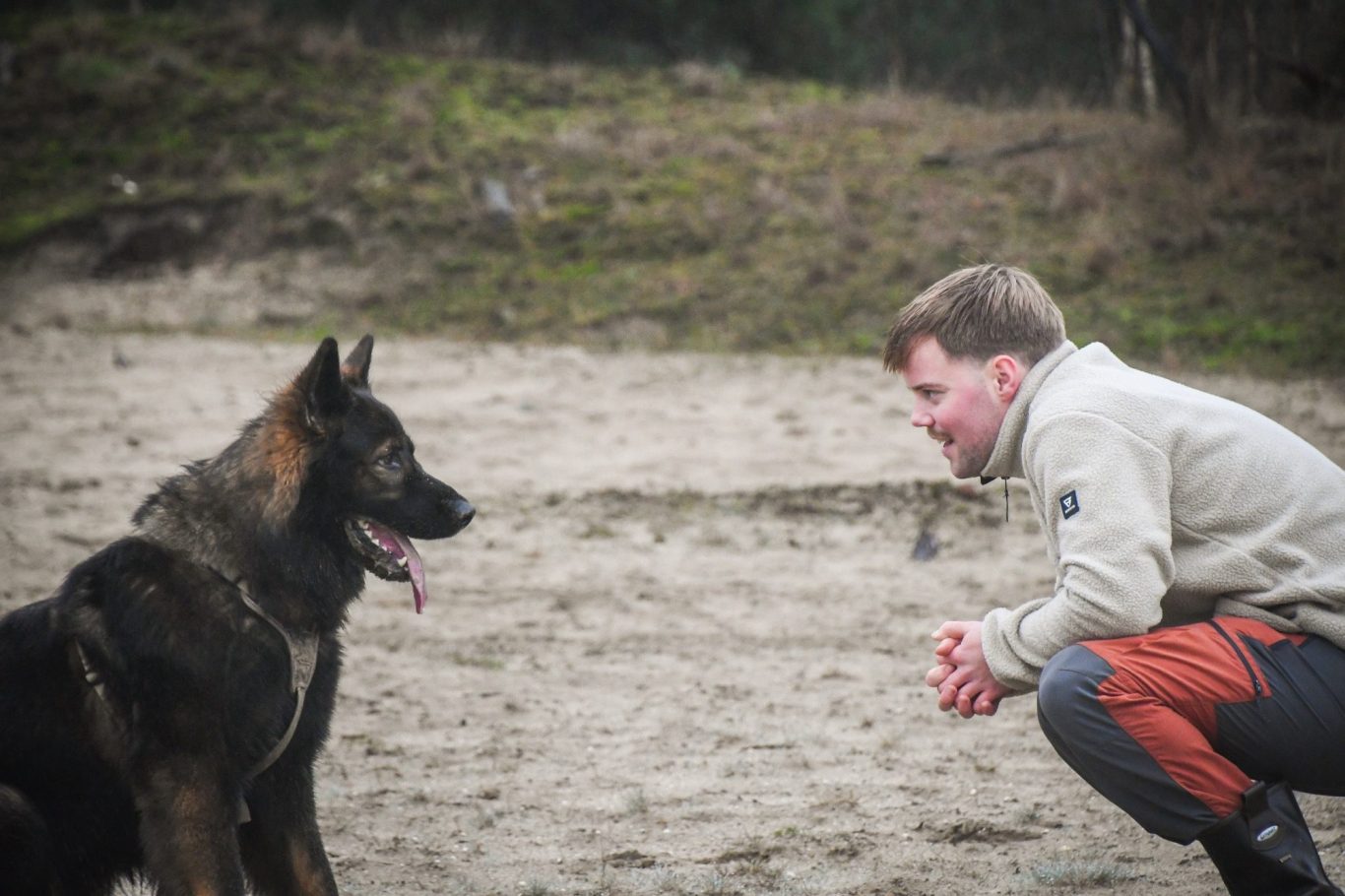 Close-up van natte hondenneus en scherpe blik — nieuwsgierige hond in de buurt van de camera.