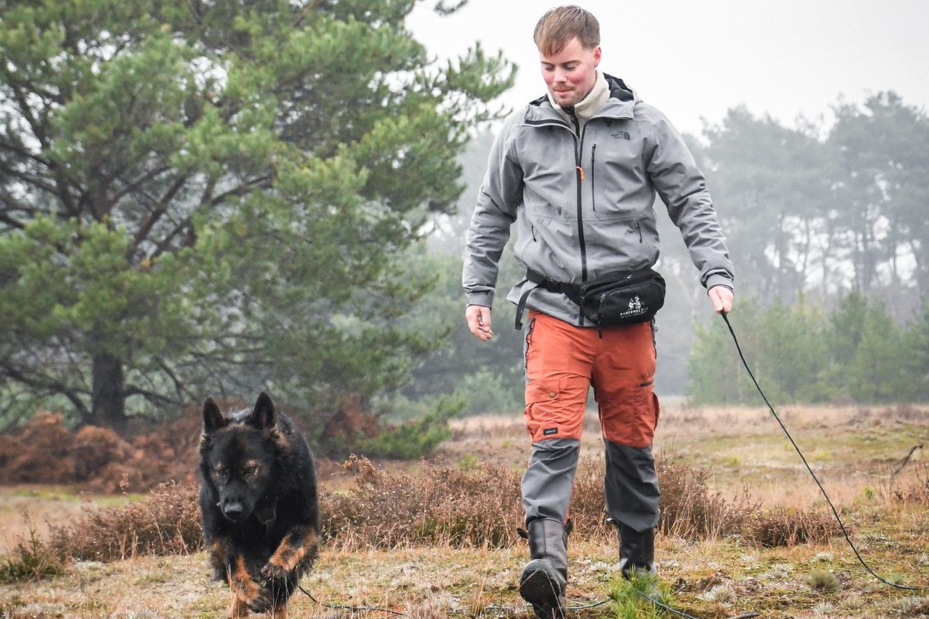 Close-up van natte hondenneus en scherpe blik — nieuwsgierige hond in de buurt van de camera.